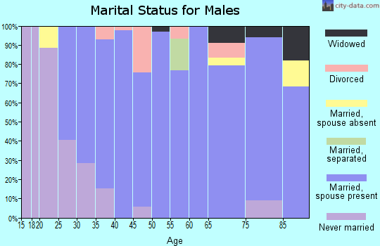 Zip code 49283 marital status for males