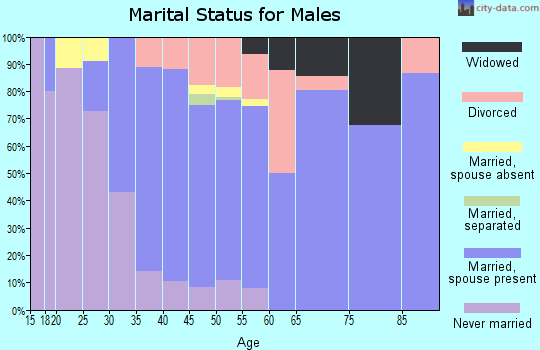 Zip code 49284 marital status for males