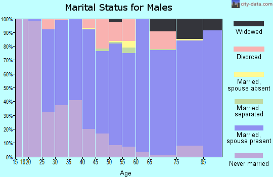 Zip code 49285 marital status for males