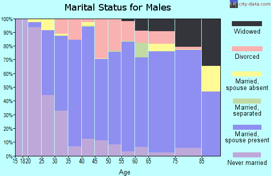 Zip code 49286 marital status for males