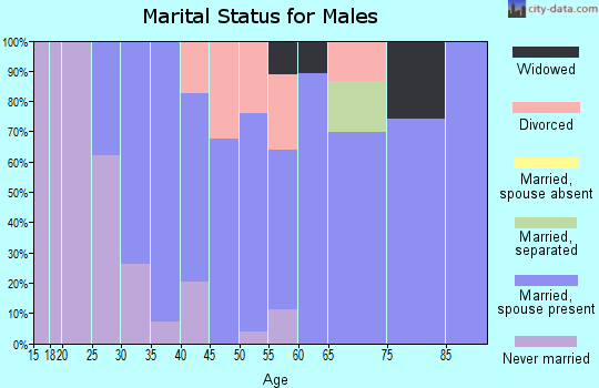 Zip code 49287 marital status for males