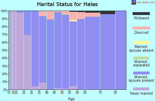 Zip code 49301 marital status for males