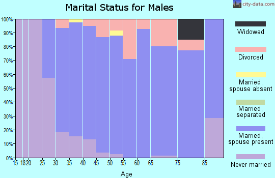 Zip code 49302 marital status for males