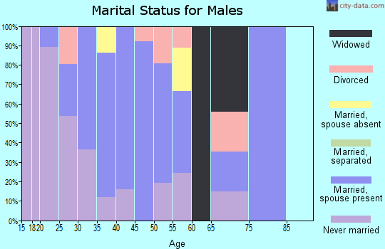 Zip code 49303 marital status for males