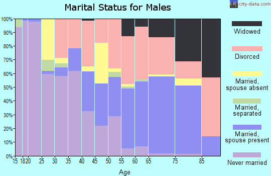 Zip code 49304 marital status for males