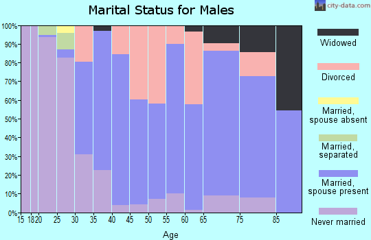 Zip code 49305 marital status for males