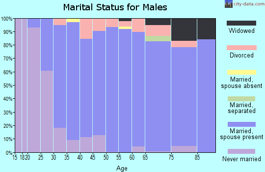 Zip code 49306 marital status for males
