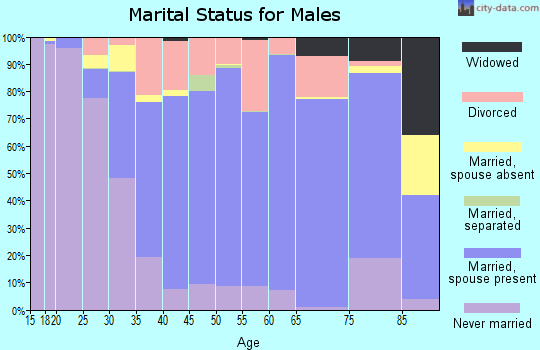 Zip code 49307 marital status for males