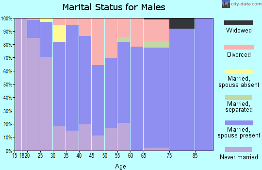 Zip code 49310 marital status for males
