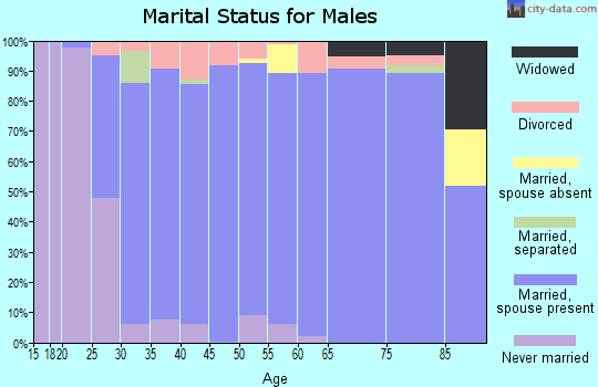 Zip code 49315 marital status for males