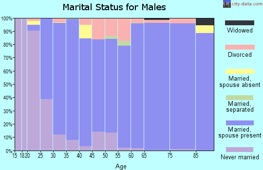 Zip code 49316 marital status for males