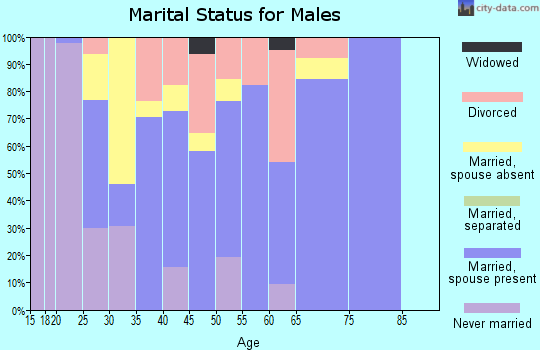 Zip code 49318 marital status for males