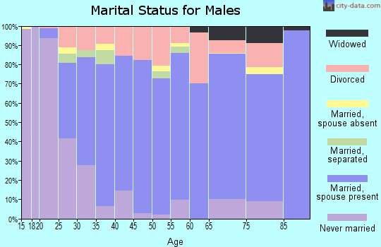 Zip code 49319 marital status for males