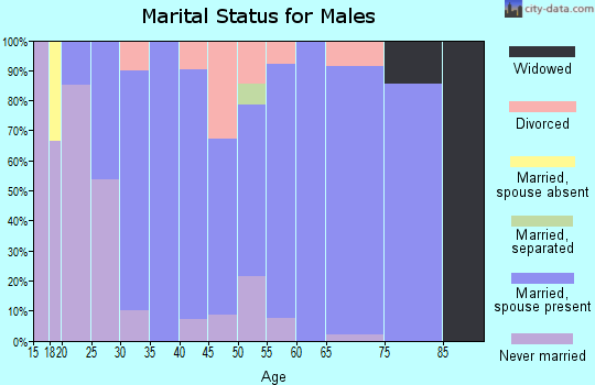 Zip code 49322 marital status for males