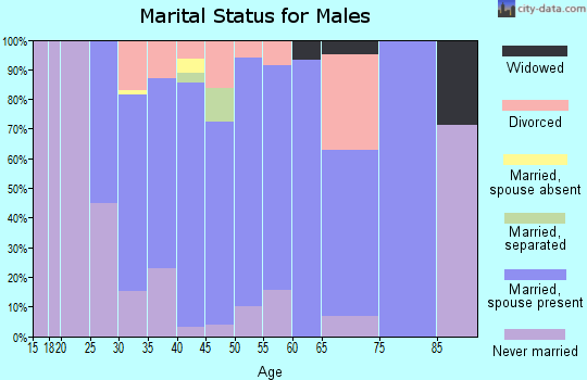 Zip code 49325 marital status for males