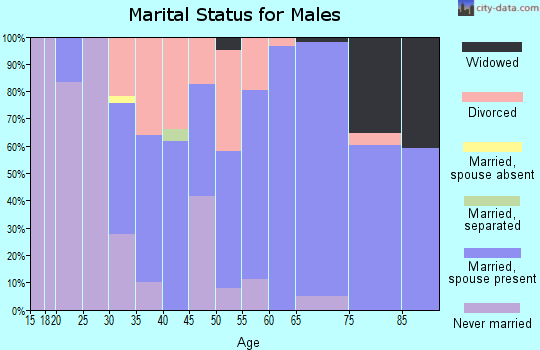 Zip code 49326 marital status for males