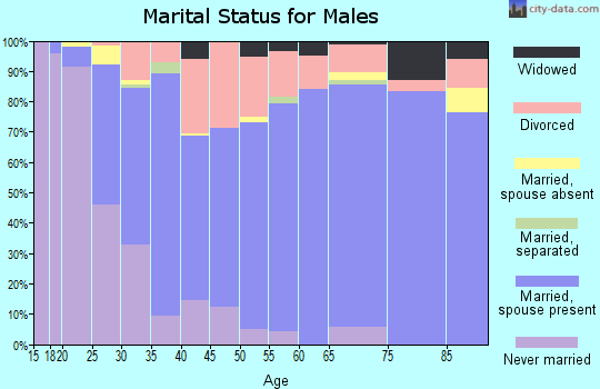 Zip code 49327 marital status for males