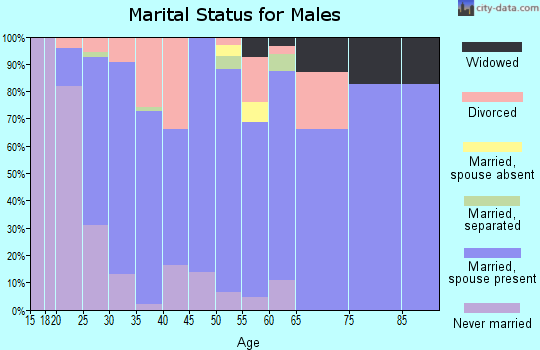 Zip code 49328 marital status for males