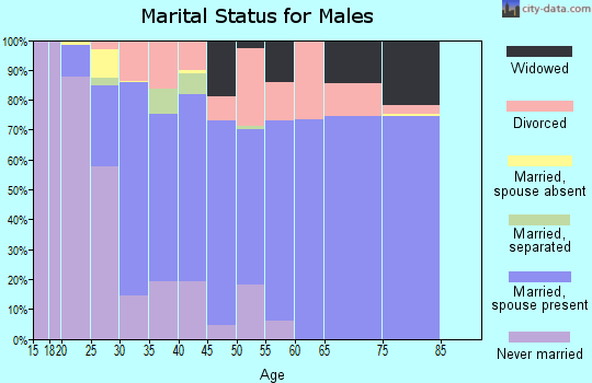 Zip code 49329 marital status for males