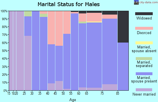 Zip code 49332 marital status for males