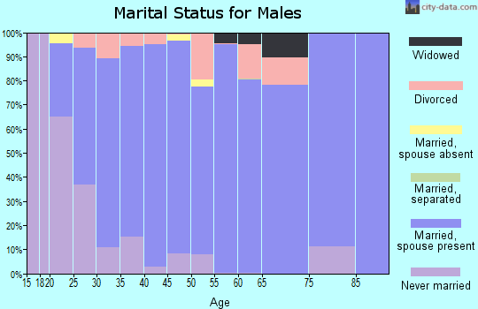 Zip code 49333 marital status for males