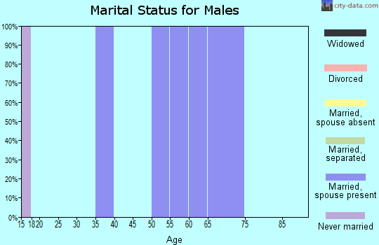 Zip code 49335 marital status for males