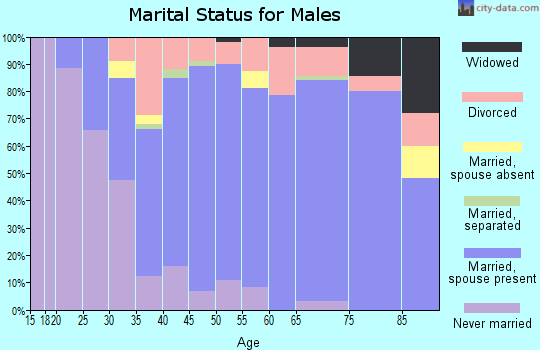 Zip code 49336 marital status for males