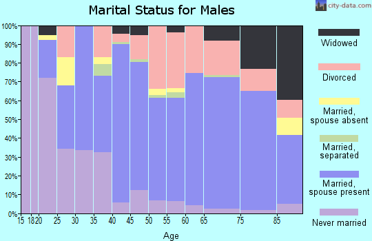 Zip code 49337 marital status for males