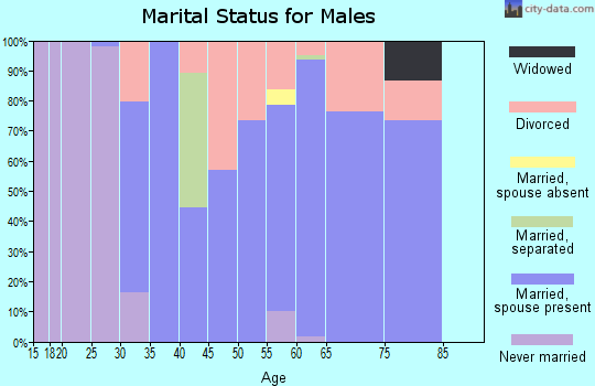 Zip code 49338 marital status for males