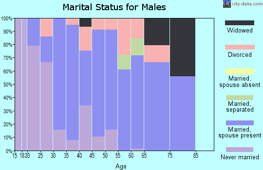 Zip code 49339 marital status for males