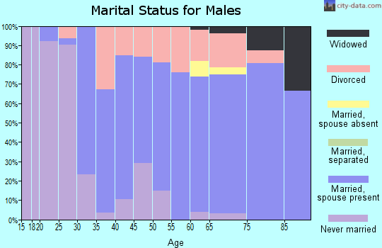 Zip code 49340 marital status for males