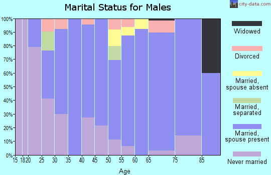 Zip code 49342 marital status for males