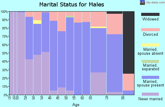 Zip code 49343 marital status for males