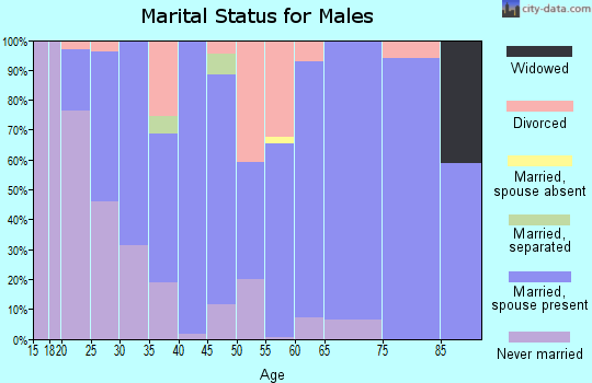 Zip code 49344 marital status for males
