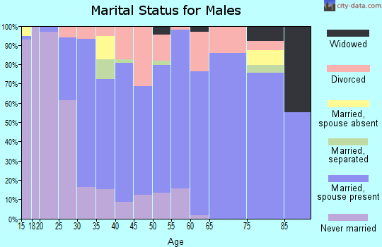Zip code 49345 marital status for males