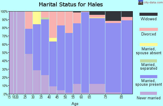 Zip code 49346 marital status for males