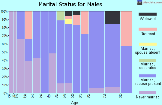 Zip code 49347 marital status for males