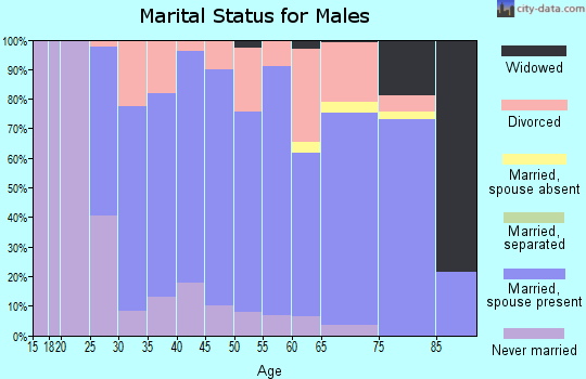 Zip code 49348 marital status for males