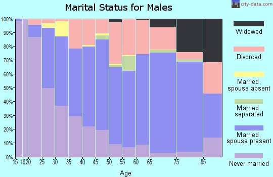 Zip code 49349 marital status for males