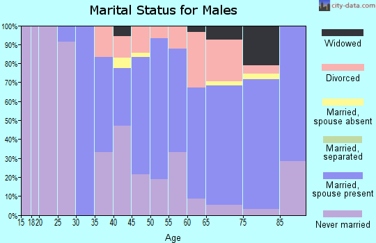 Zip code 49402 marital status for males