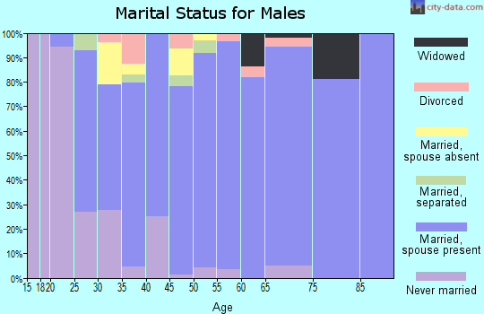 Zip code 49403 marital status for males