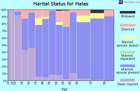 Zip code 49404 marital status for males