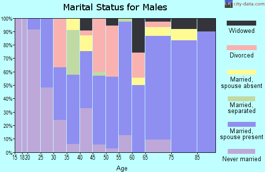 Zip code 49405 marital status for males