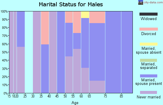 Zip code 49406 marital status for males
