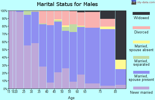 Zip code 49408 marital status for males