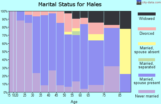 Zip code 49411 marital status for males