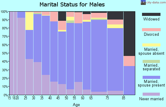 Zip code 49412 marital status for males