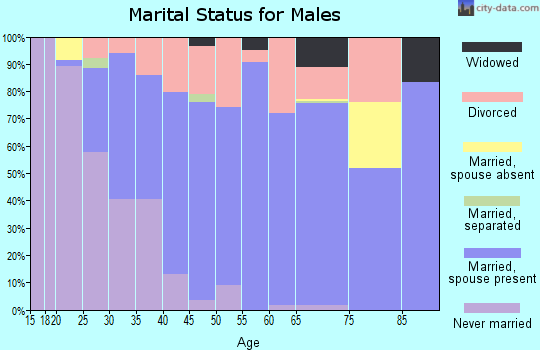 Zip code 49415 marital status for males