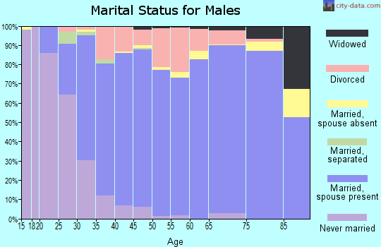Zip code 49417 marital status for males