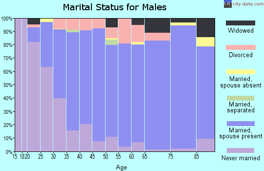 Zip code 49418 marital status for males